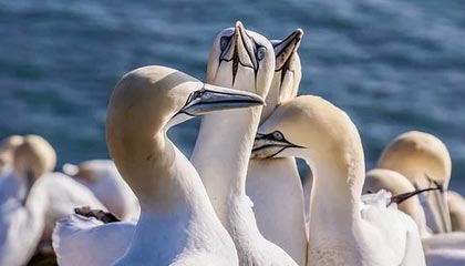 超三联赛社媒分享精彩瞬间：主教练不光已热身，还真上场了