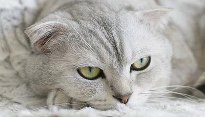 必一运动官网-又有马拉松选手赛后猝死，“酷跑”风险如何避免？