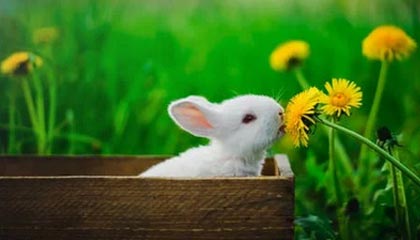 超三联赛社媒分享精彩瞬间：主教练不光已热身，还真上场了